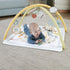 Fisher Price Simply Senses Newborn Gym